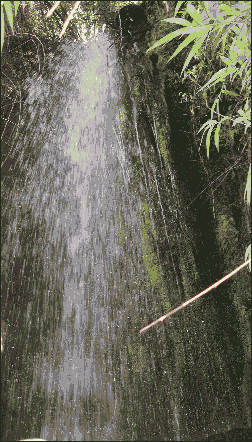 The small fall
